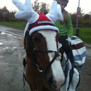 Anden særlig race Sky!<3