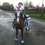 Anden særlig race Sky!<3