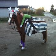 Anden særlig race Sky!<3