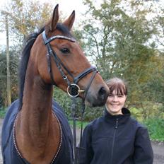 Dansk Varmblod Tirane