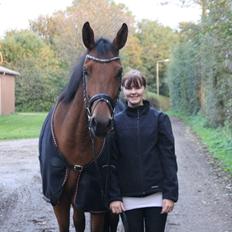 Dansk Varmblod Tirane