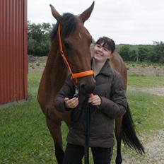 Dansk Varmblod Tirane