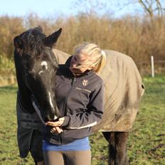 Anden særlig race Mowgli