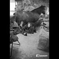 Anden særlig race Lotte (Skinkelynet)