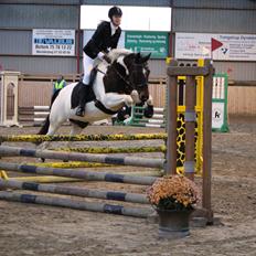Pinto Elkærs Tassa RPIN F3