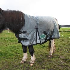 Pinto Hedegaardens Mulle