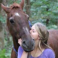 Frederiksborg |Zarif