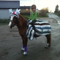 Anden særlig race Sky!<3
