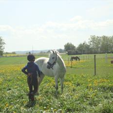 Anden særlig race Ullive