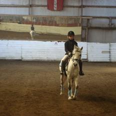 Anden særlig race Ullive