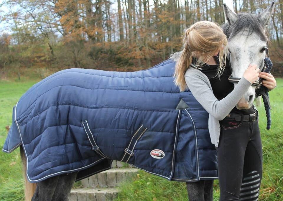 Anden særlig race Jojo (solgt) billede 22