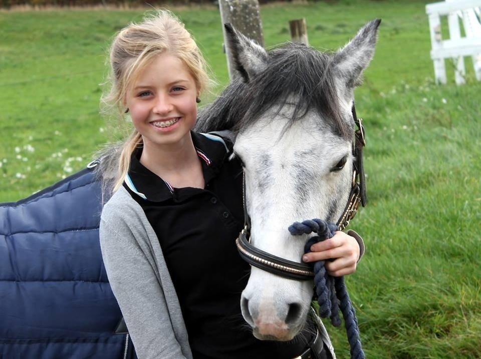 Anden særlig race Jojo (solgt) billede 23