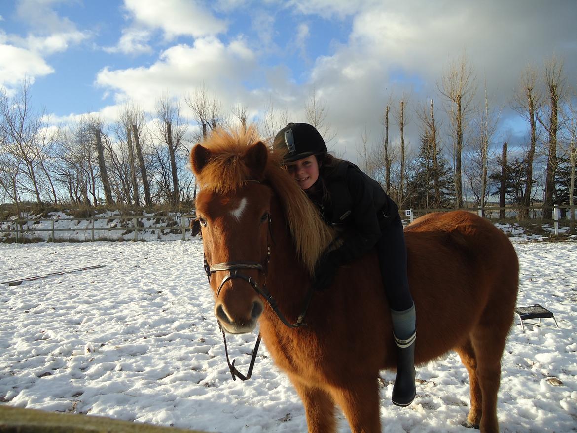 Islænder Drengür - Et af de første billeder med ham 2010 <3 ~Foto~ Emma billede 31