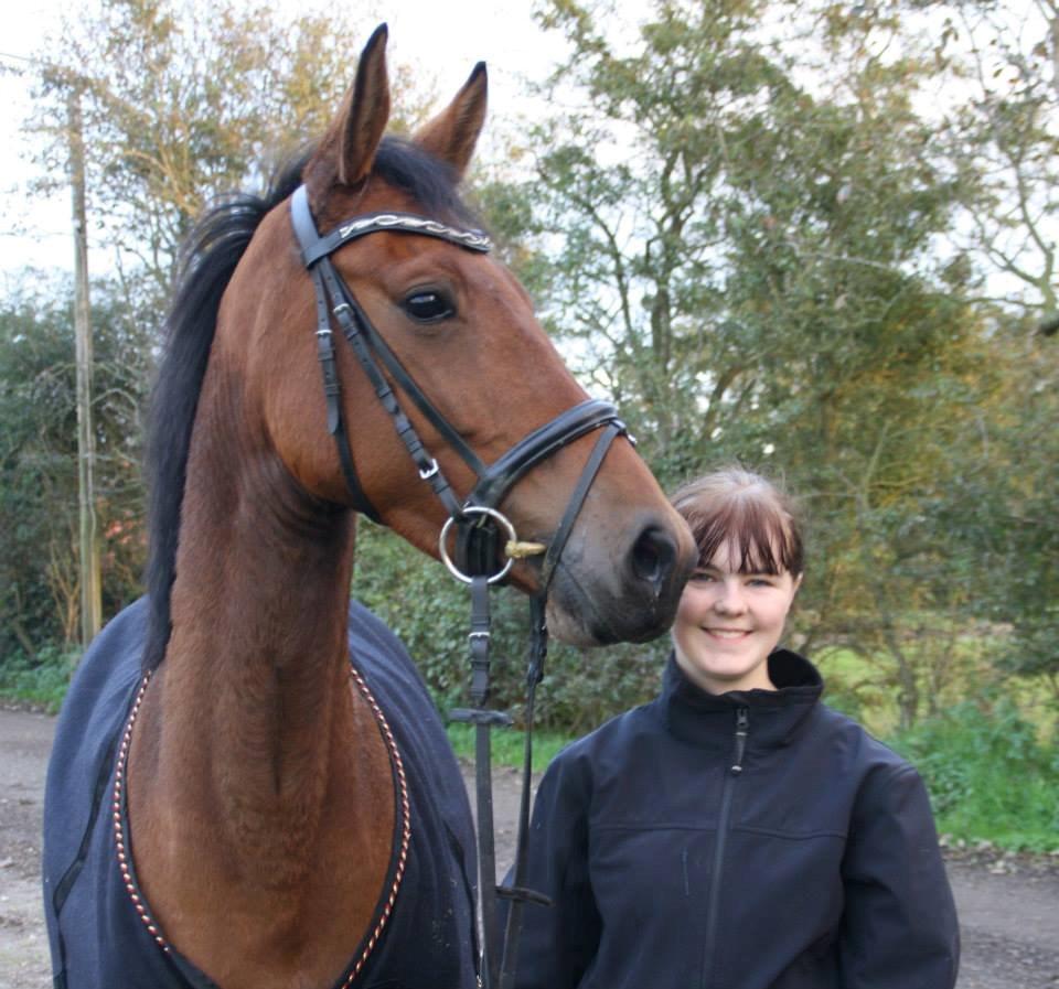 Dansk Varmblod Tirane billede 2