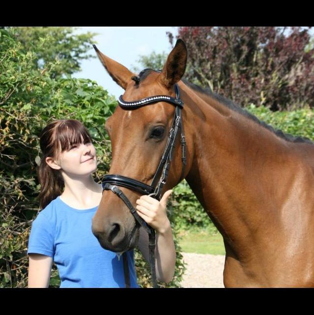 Dansk Varmblod Tirane - Vi elsker sommer :) billede 8