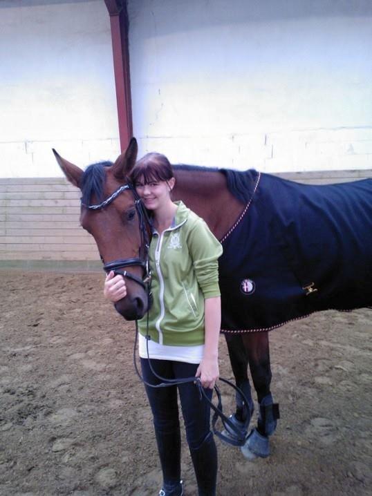 Dansk Varmblod Tirane - En træt hest efter en god ridetur.  billede 9