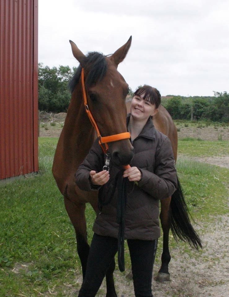 Dansk Varmblod Tirane - Velkommen til Tiranes profil :) billede 1