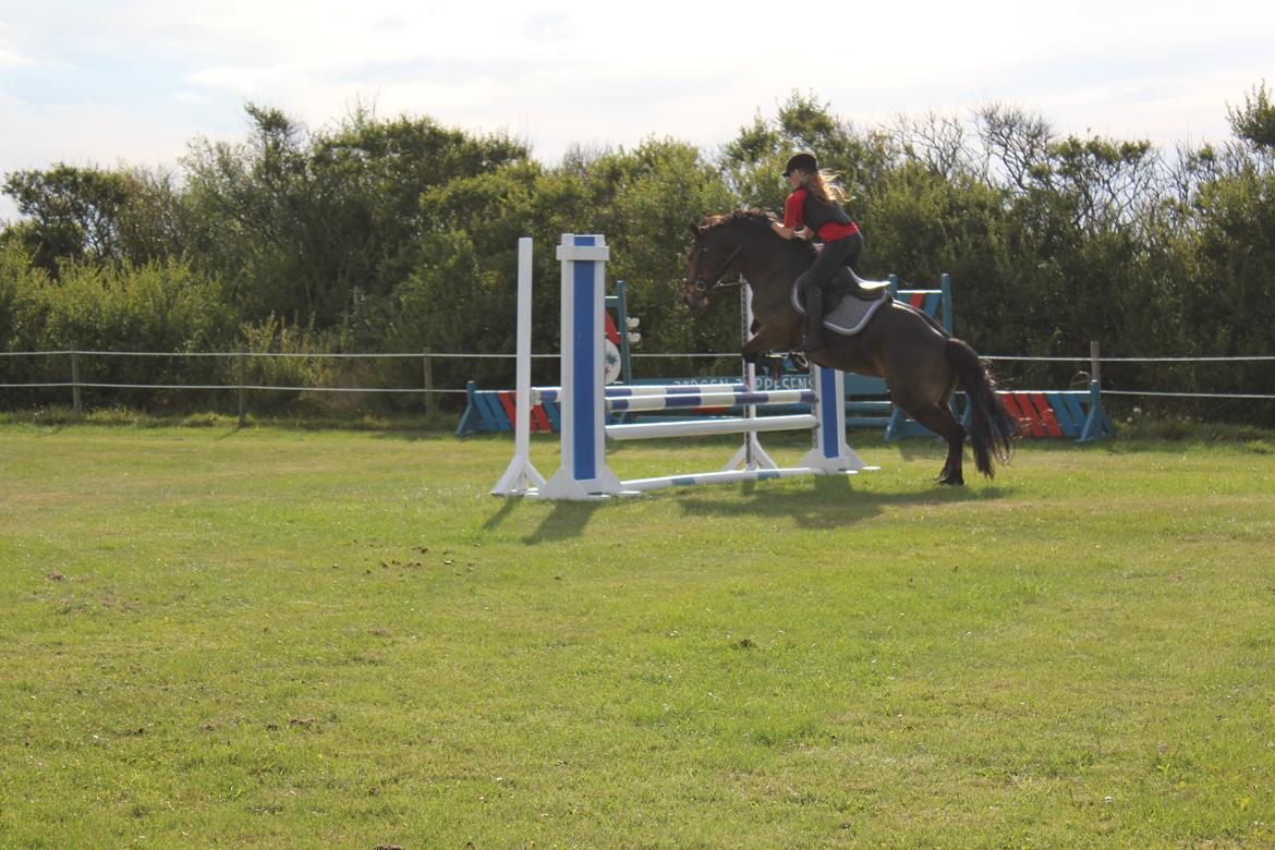 Anden særlig race Victoria billede 15