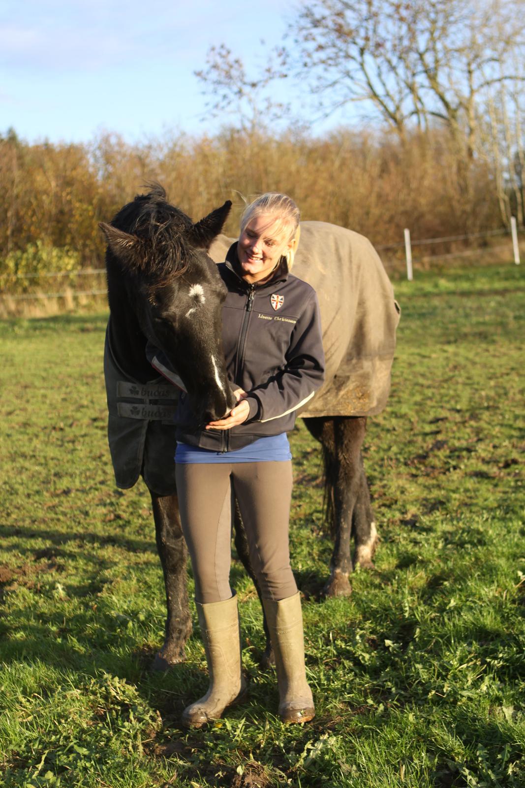 Anden særlig race Mowgli billede 15