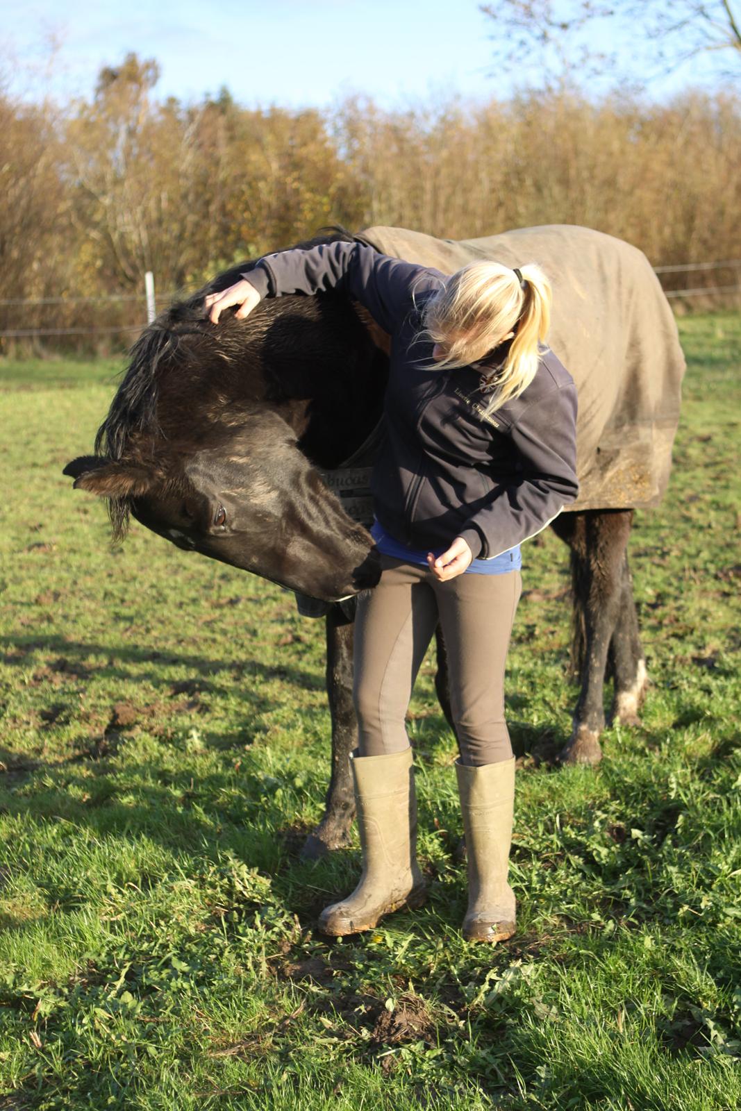 Anden særlig race Mowgli billede 16