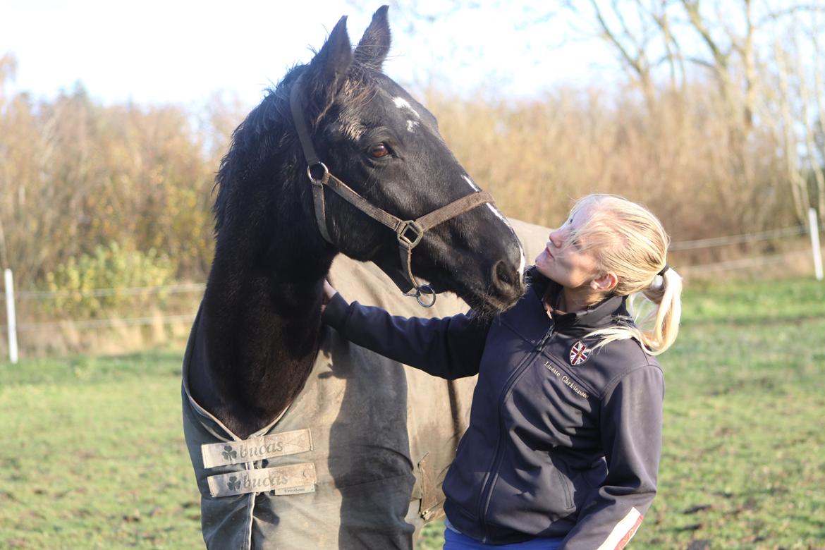 Anden særlig race Mowgli billede 17