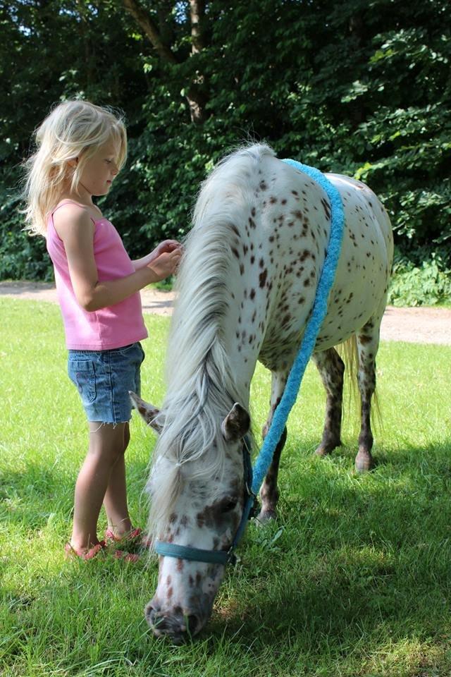 Anden særlig race Cassiopeia billede 25