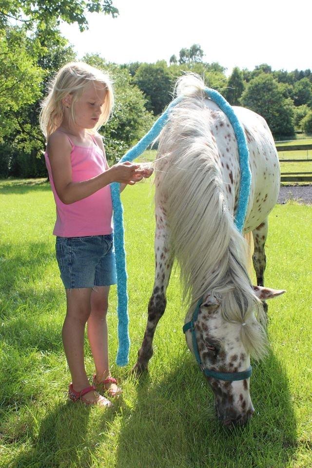 Anden særlig race Cassiopeia billede 26