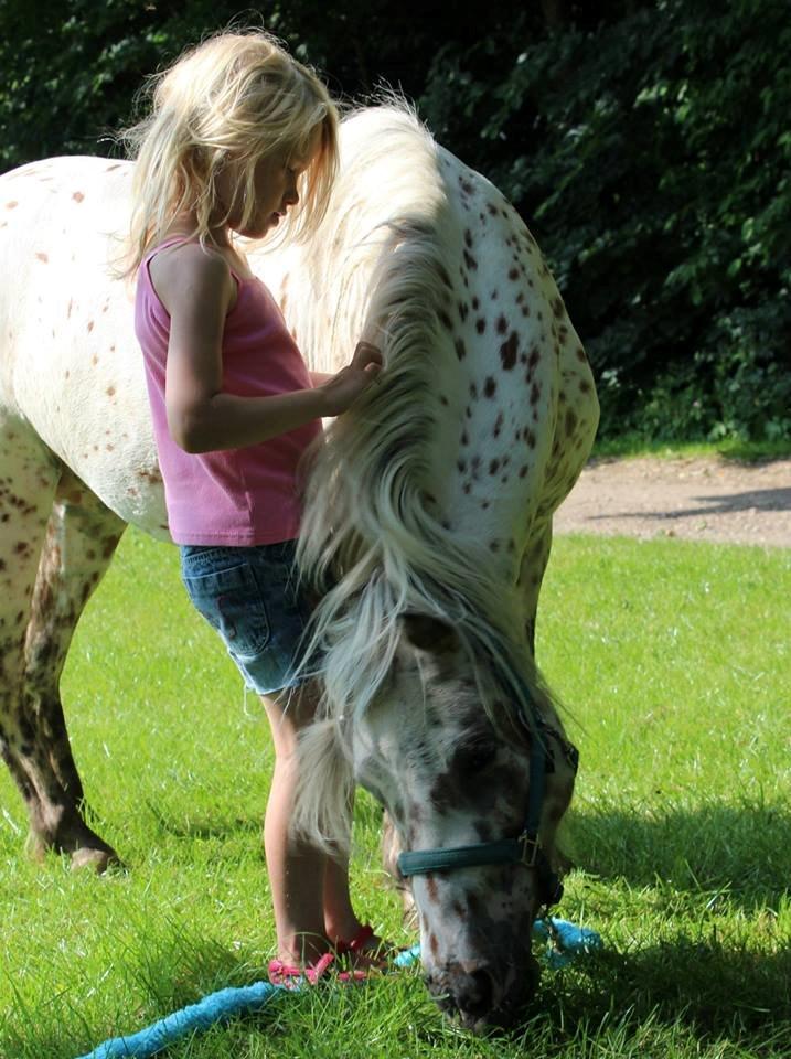 Anden særlig race Cassiopeia billede 27