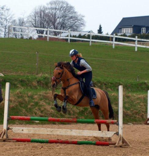 Anden særlig race kandis billede 16