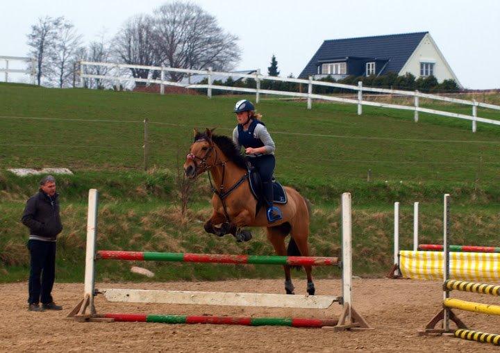 Anden særlig race kandis billede 17