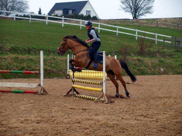 Anden særlig race kandis billede 18