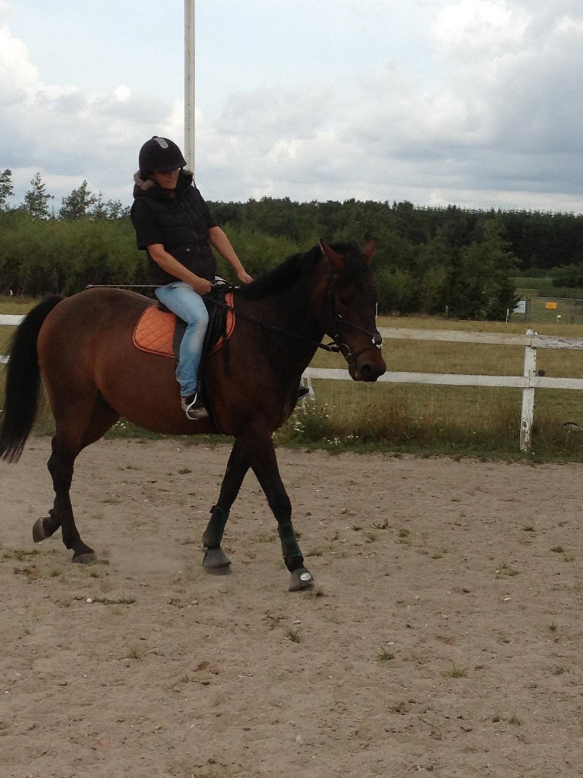 Traver Primus Dynamite (Prime) billede 2