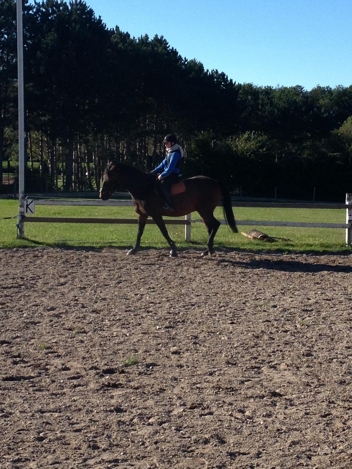 Traver Primus Dynamite (Prime) billede 11