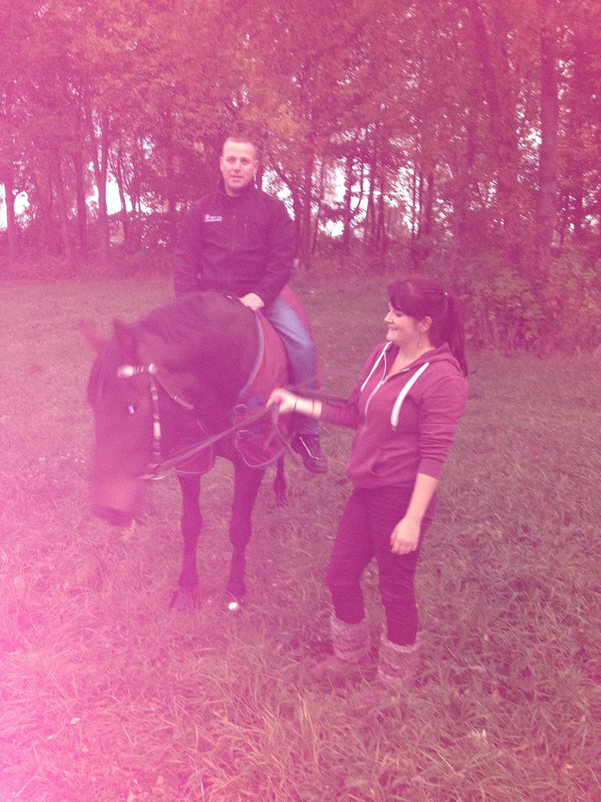 Traver Primus Dynamite (Prime) billede 14