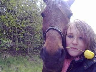 Traver filur ravn billede 8