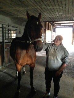 Traver filur ravn billede 3