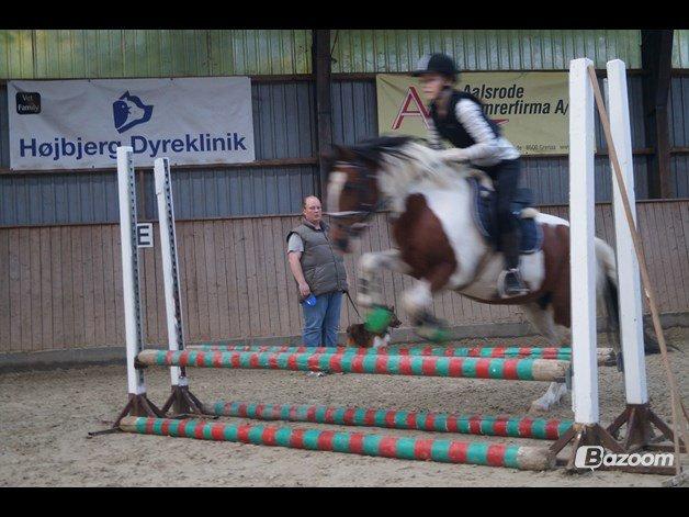 Pinto Gaisha - Igen spring<3 billede 2