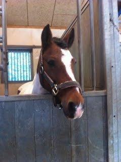 Pinto Gaisha - Geisha, inden stævnet<3 billede 4