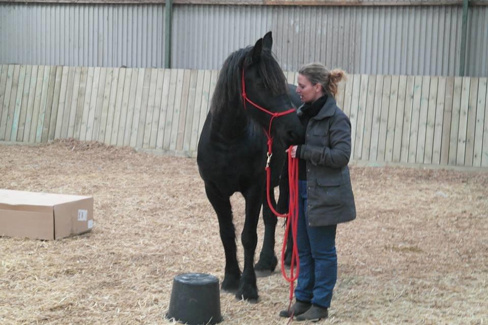 Frieser Enja billede 19