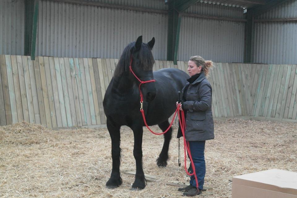 Frieser Enja billede 20