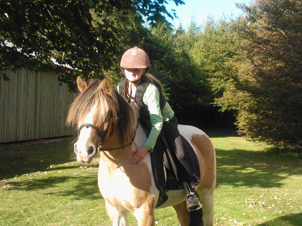 Anden særlig race Alexandra <33 - sommersol og smukke alex du er det dejligste af alt! <33 billede 5