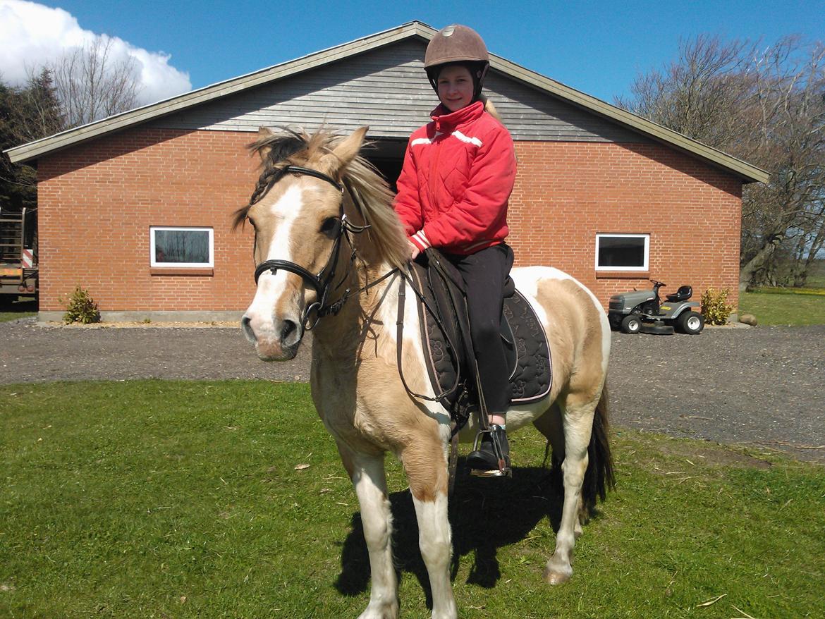 Anden særlig race Alexandra <33 - Hvorfor er du så dejlig sød og smuk? :-) billede 17
