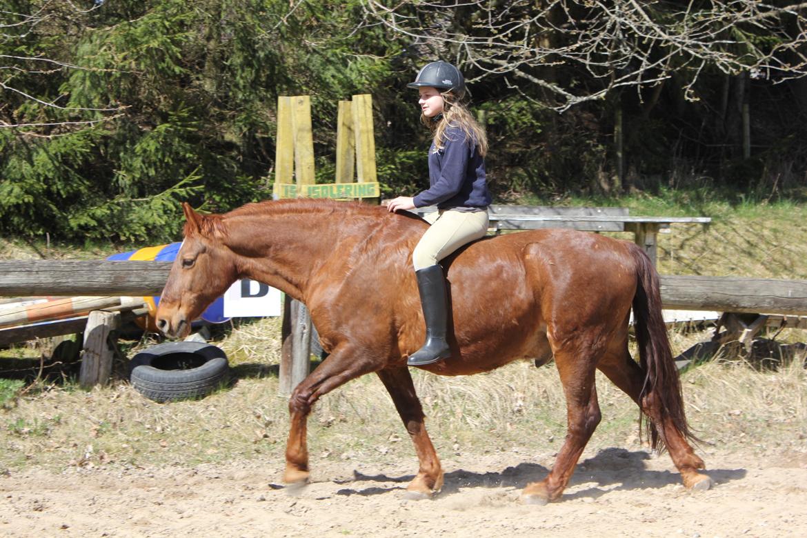 Frederiksborg |Zarif billede 12