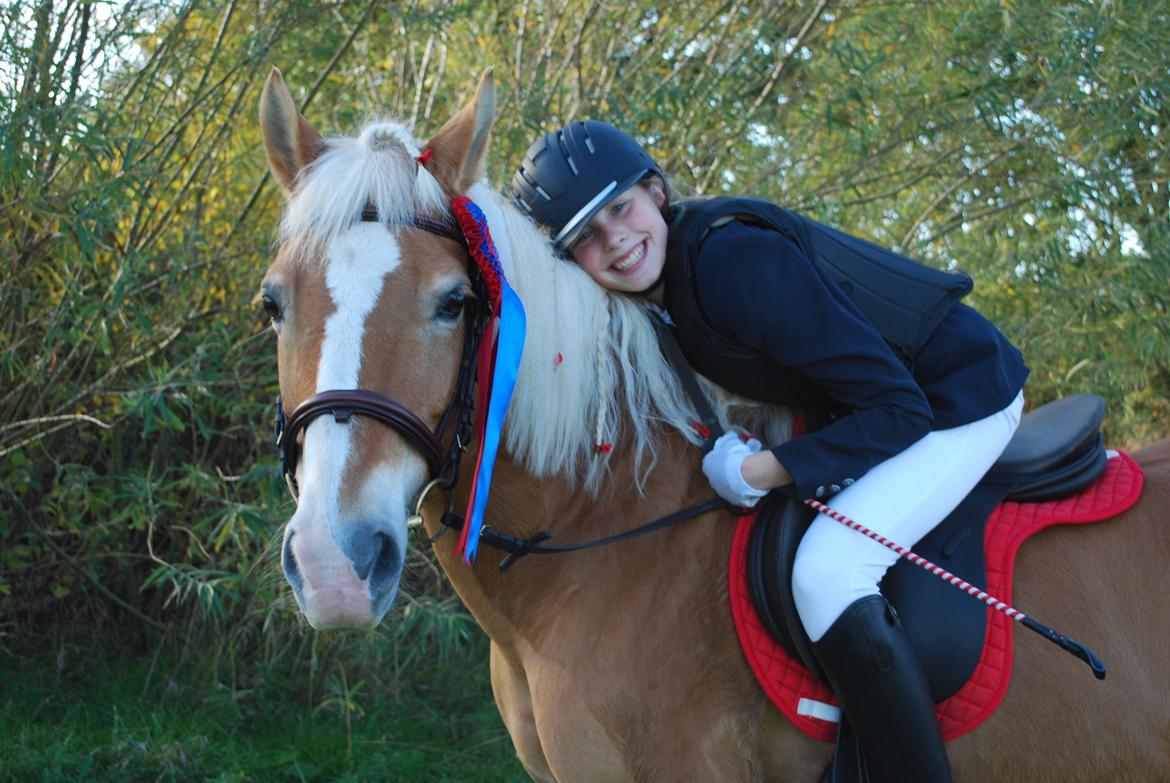 Haflinger Sissi - 60 cm fejlfri:-) SÅ god runde! 6 oktober 2013 billede 2
