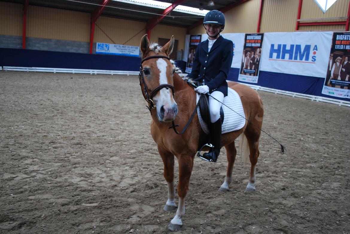 Haflinger Sissi - Dressurstævne 5/11 2013:-) billede 37