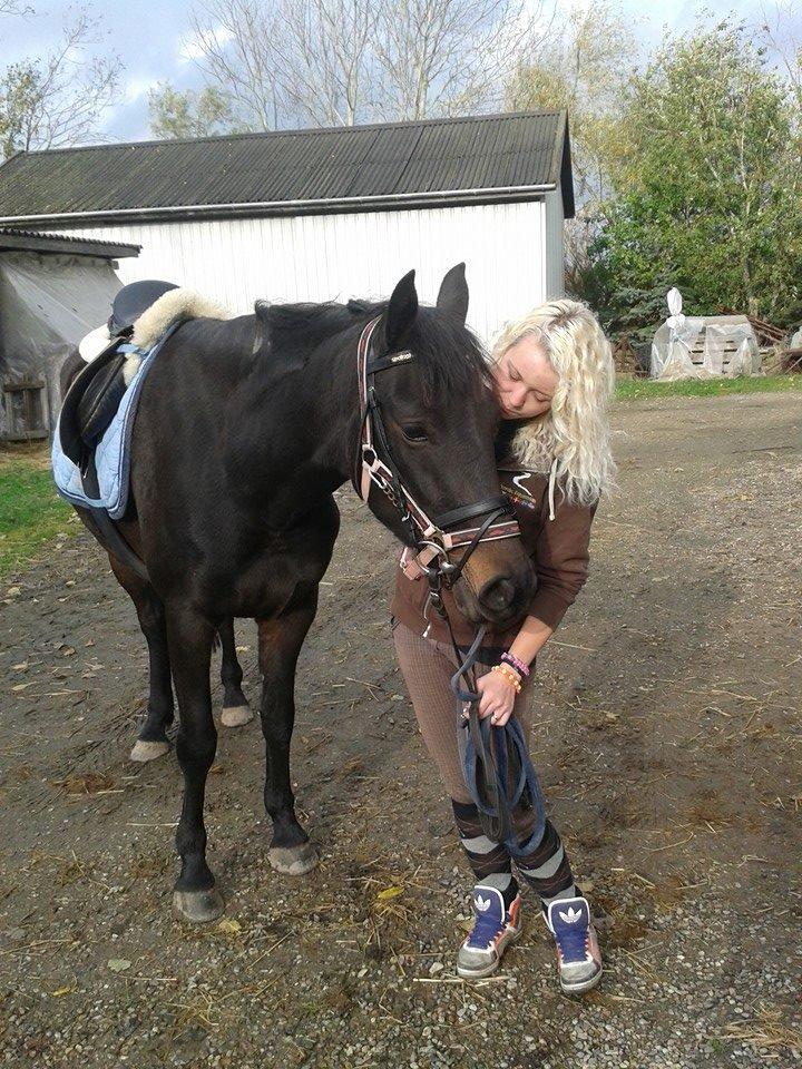 Anden særlig race Diva (solgt) billede 10