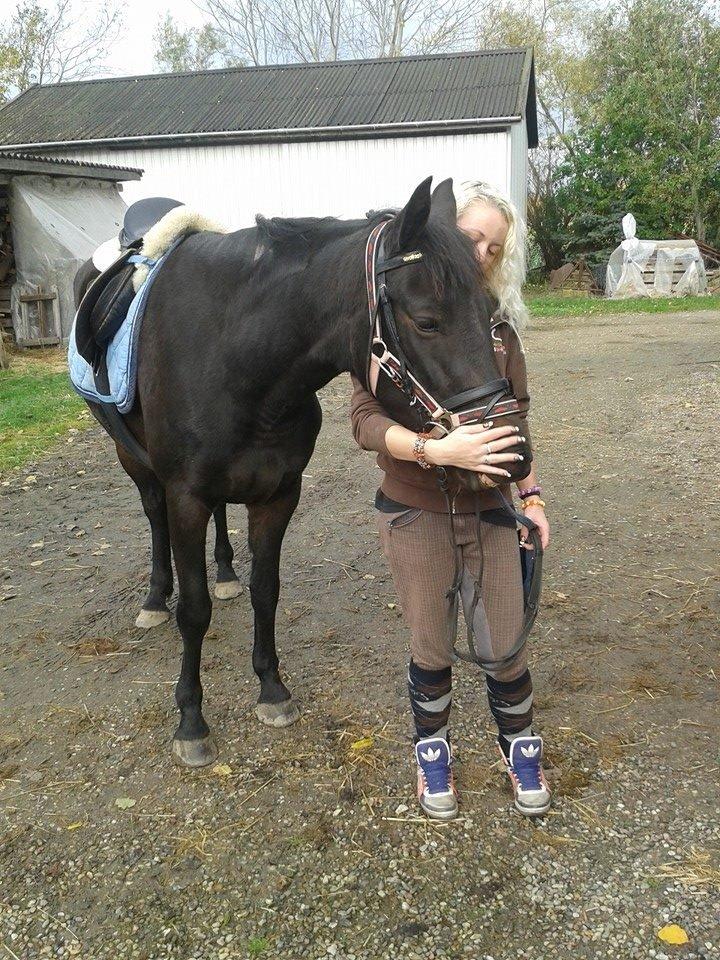 Anden særlig race Diva (solgt) billede 12