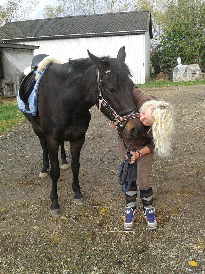 Anden særlig race Diva (solgt) billede 13