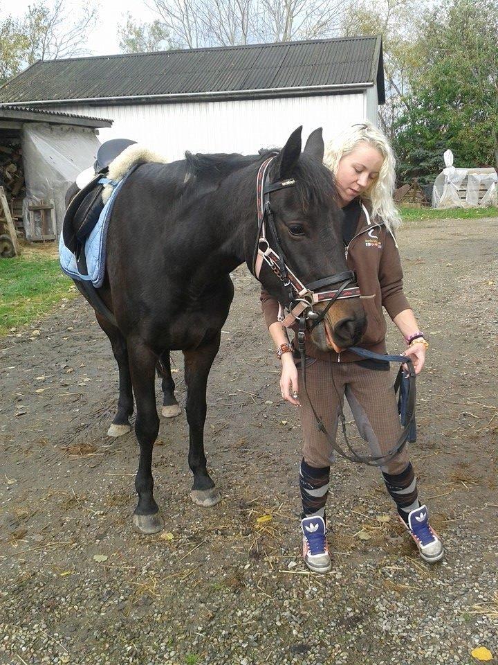 Anden særlig race Diva (solgt) billede 16