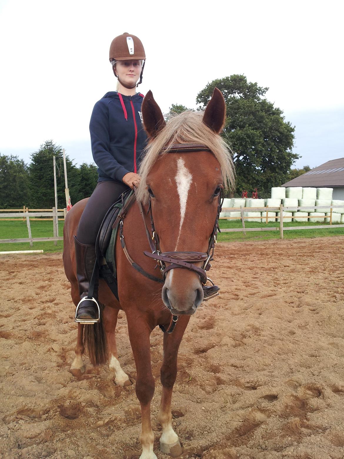 Anden særlig race Kjeldsminde Suprice (Ide´Fix) billede 16